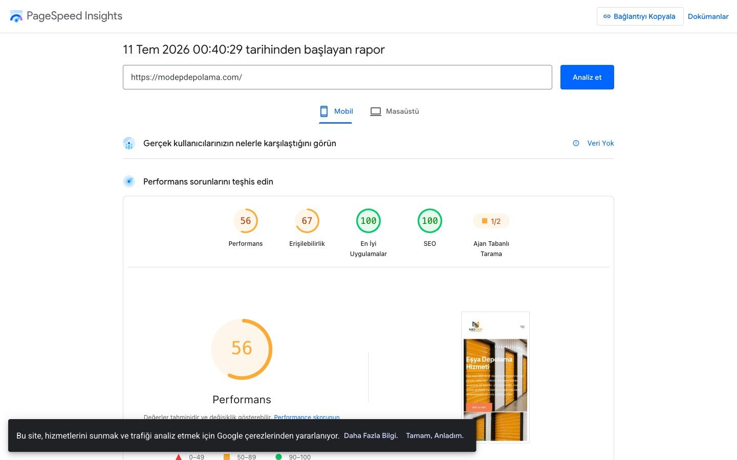 Google PageSpeed Insights raporu — mobil performans 56/100